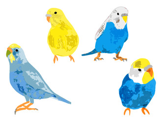 インコのベクターセット