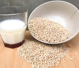 glass of milk and pearl barley porridge on a wooden table milk in a glass in the morning in the village with cereal for breakfast