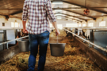 Rear view of hardworking caucasian farmer carrying buckets with fresh milk and walking in dairy farm. © Dusan Petkovic