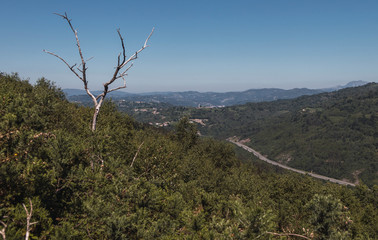 Obraz premium Landscape of a valley in a sunny day and with a dead tree in the foreground.