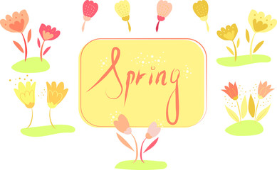 Floral background with yellow and pink flowers in Spring. Flower buds in a flat style.