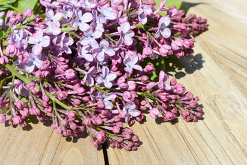 flowering  common lilac lying on wood  in springtime