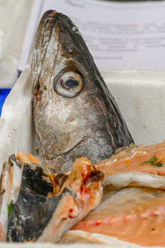 Imagens de Fischkopf – Explore Fotografias do Stock, Vetores e Vídeos ...