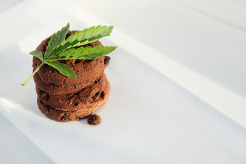 Chocolate marijuana cakes with marijuana green leaves on white plate background. Delicious space cookies