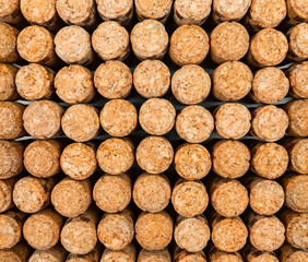 Background from textured wine corks, top view. place for text