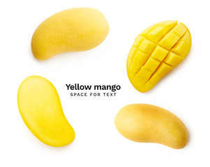 Creative layout mango