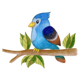 Blue bird sitting on tree. Hand drawn watercolor illustration, isolated.