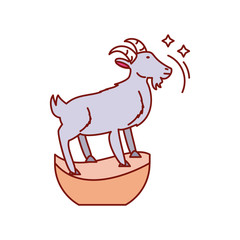 goat, islamic sacrifice on white background