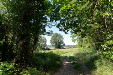 Tertre blanc path in the French Gâtinais Regional Nature park