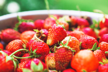 Ripe strawberries closeup. Red berries.