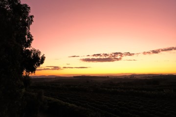 Panoramic view of sunset agriculture field with the beauty skyline. Rural life scene. 