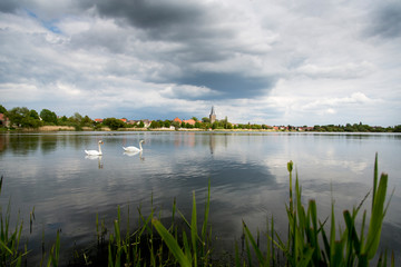 Seehausen in der Börde - See mit Schwänen unter bewöltem Himmel, Panorama und Skyline der Stadt...