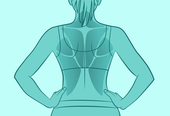 Exercises for the back muscles. The muscles of the back. Silhouette of a woman. Sport, workout, fitness, bodybuilding. Green version.