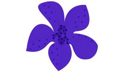 VIOLET DOT FLOWER