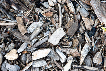 Wooden debris on the beach macro