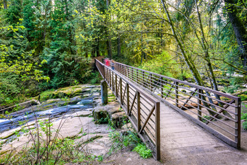 Pedestrian bridge over a mountain river in a wild forest
