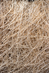 Natural texture of straw. Craft packaging. Coconut coir