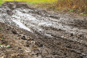 An impassable road, off-road track in autumn forest.