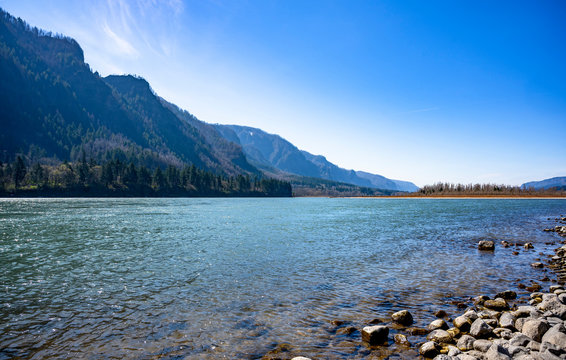 Rocky Columbia River Bank with Clear Water Against a High Mountain Range Overgrown with Trees in Columbia Gorge