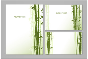 Set of vector greeting cards with bamboo and place for text.