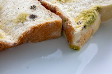 Sliced bread with fungal mold. Spoiled, moldy inedible food. Close-up, selective focus. There are space for text.