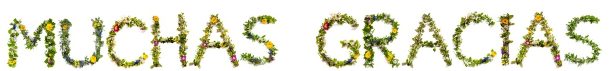 Flower, Branches And Blossom Letter Building Spanish Word Muchas Gracias Means Thank You. White Isolated Background