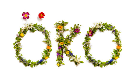 Flower, Branches And Blossom Letter Building German Word Oeko Means Eco. White Isolated Background