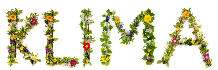 Flower, Branches And Blossom Letter Building German Word Klima Means Climate. White Isolated...