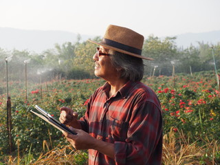 Asian farmer old man or gardener using touch screen monitor in Digital Tablet.Water sprinkler on Intelligent agriculture system have high tech technology for modern organic farm.