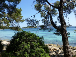 Fototapeta na wymiar Hidden beach on emerald sea panorama view, Shoreline of Dalmatia, Croatia