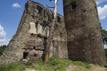 Burgruine Südbömen in Tschechien