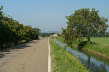Fototapeta na wymiar Country landscape near Molino dei Notari, Parma, at summer