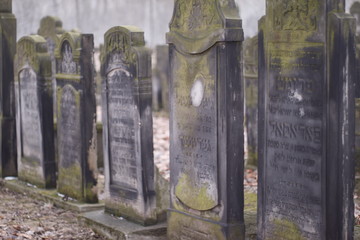 Old Jewish Cementary - Sielsia, Europe