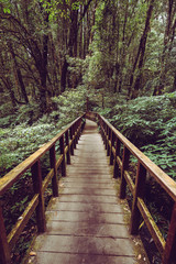 Kio Mae Pan walk to backpack and trekking mountain landscape viewpoint of Kio Mae Pan, Chiang Mai, Thailand.