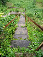 Fototapeta premium wooden bridge in the forest