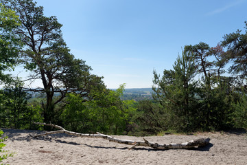 Fototapeta na wymiar French Gâtinais Regional Nature park panorama on the Tertre blanc hill