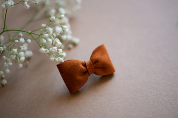 Children's hair ornaments in brown tones on a brown background, hair clips and headbands for little girls on a brown background