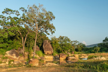 Sri Lanka jungle green landscape, Yala National Park