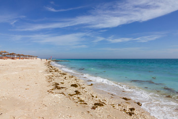 Fototapeta na wymiar Sea beach on Sir Baniyas Island, Abu Dhabi, United Arab Emirates