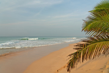 Fototapeta na wymiar Sri Lanka ocean landscape, beach seascape, picturesque Indian ocean waves