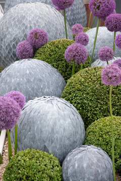 The Petalist sphere sculptures intermingled with spherical box hedges and purple allium