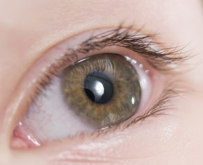 Close-up photo of human eye. Macro photography