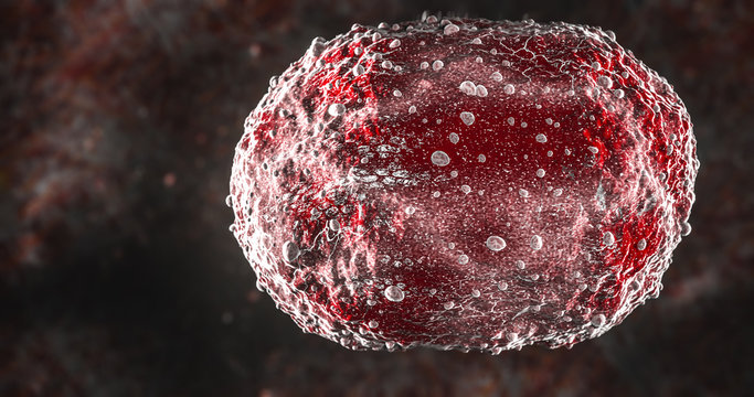 Science Photo of bacteria A coccobacillus is a type of bacterium with a shape intermediate between cocci and bacilli  3d rendering