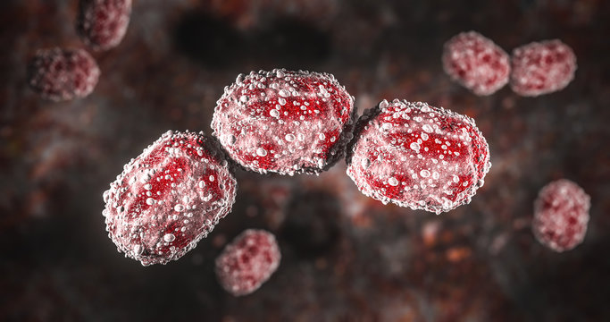 Science Photo of bacteria A coccobacillus is a type of bacterium with a shape intermediate between cocci and bacilli  3d rendering