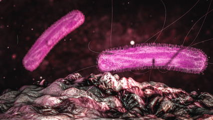 Science Photo of bacteria Klebsiella pneumoniae is a Gram-negative, non-motile, encapsulated,...