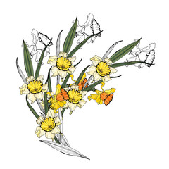 sets of flowers of daffodil and iris. Isolated over white background. Vector graphics.