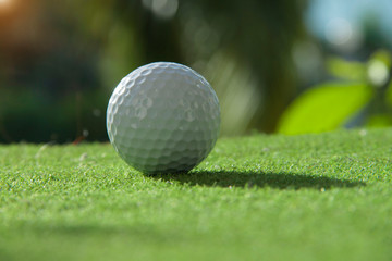 Golf ball on the green with warm tone and sunset