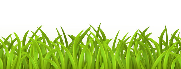 Bright vector green grass seamless pattern on white background