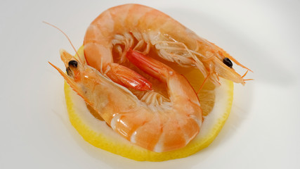 shrimps on a slice of lemon in white plate closeup