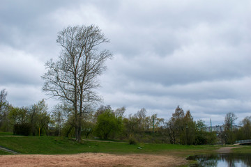 Obraz premium spring in town